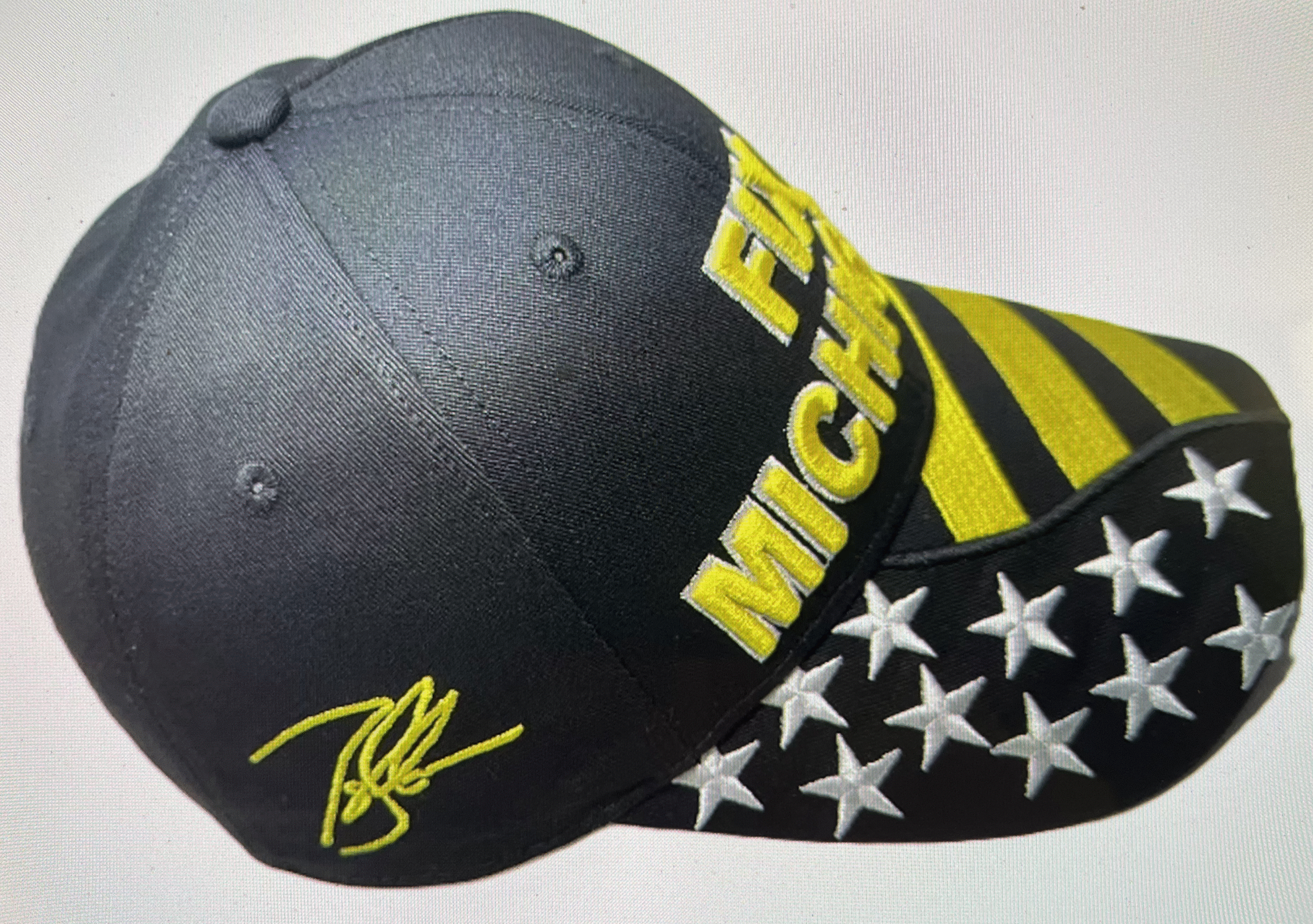 Fix Michigan Hat